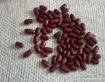 Witam. Oferuję tirowe ilości Fasoli Czerwonej Red Kidney. Pakowana w worki 25kg, Fasola nie odbarwia się i nie pęka podczas gotowania....