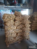 Witam sprzedam ziemniaki odmiana Soraya kaliber 5+ więcej info pod nr tel 502674427