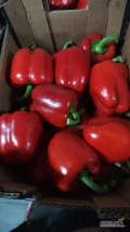 Witam mam w ofercie papryke czerwona. Towar 1 klasa pakowany w kartony 5kg kaliber 80+. 