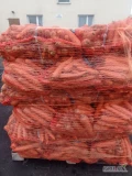 Będę sprzedawać marchewki. Nie prane. W siatkach 22 kg. Na paletach 800 kg. Kaliber duży od 15 do 27 cm. Znajdują się tam wszystkie...