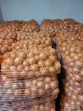 Kupie cebule żolta kal.50-80 i 70-90 z ladna jasna łuska pakowana w worki po15kg