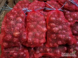 Sprzedam cebule czerwona worki 5,10kg