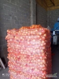 Sprzedam cebulę podsuszana 5od 5 do 8 kaliber chandlowy mocna jasna łuska. Bez zgnitej i bąków pakowana worek 10kg szyty. Możliwa...