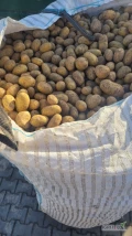 Sprzedam ziemniaki odmiany Queen Anna 