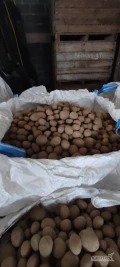 Sprzedam ziemniaki Mariola duże ilości, big bag