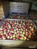 Sprzedam 100 ton jabłka idaret z KA oraz freschu komora dzisiaj otwarta