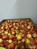 Sprzedam 21 skrzyniopalet odmiany Rubin, jabłko 70+ z rumieńcem, schłodzone 
