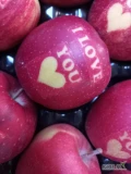 Sprzedam jabłko walentynkowe I LOVE YOU i serduszko. Napis powstał podczas naturalnego oddziaływania słońca na naklejkę. Ilość...