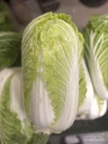 Sprzedam kapustę pekińską kaliber 0,7-2kg, 