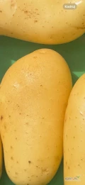 Witam sprzedam ziemniak jadalny 