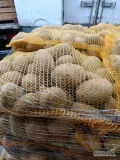 Sprzedam ziemniaki żółte 55+ ilości tirowe worek szyty 10kg 
