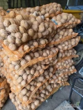 Sprzedam ziemniaki jadalne odmiana michalina spakowane w workach po 15kg, ilość 1600kg.