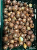 Sprzedam 70 ton cebuli żółtej kal. 4+ w bb z dostawą . Towar pochodzenia słowackiego. Zapraszam