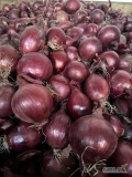 Sprzedam cebulę czerwoną fazorowana worek 5/10 kg kaliber 5-8 ilości tirowe i paletowe 