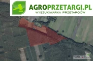 Przetarg na dzierżawę 17,35 ha gruntu rolnego na 10 lat – RIVb, RV, RVI, ŁIV, ŁV, PsV, S-RIVb