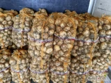 Sprzedam ziemniaki młode świeżo kopane jak i kopane na zamówienie cena do uzg.tel724-521-881 