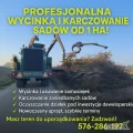 Wycinka drzew i karczowanie sadów – od 1 ha