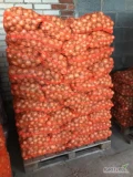 Cebula ozima ładna zdrowa nie gnije. Ilosci paletowe. Kal od 4.5 w górę. Fv VAT. Możliwość dostawy 