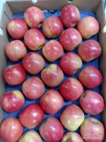 Sprzedam jabłka odmiany Crisp Pink (Pink Lady) z Chile, pierwsza klasa, opakowanie 18 kg, kaliber 100/113/125, dostawa do ciebie. 