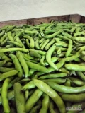 Sprzedam ładny zielony bób trzymany już w chłodni. Szykuje tylko i wyłącznie na zamówienie pakujemy po 0.5 ,1 kg lub po 10kg we...