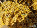 Sprzedam ziemniaki Soraya 1zł-1kg pakowane w worki po 15kg kaliber pow 5cm