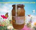 Sprzedam miód wielokwiatowy, nektarowo-spadziowy oraz leśny z 2024 r. Wszystkie miody zawierają domieszkę spadzi. Wiosenny spadzi...