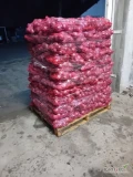 Sprzedam czerwona cebulę kaliber 5+. Towar suchy ładnie oczyszczony pakowany w worek lenko 5 kg wiązany. Ilości paletowe. Zapraszam 