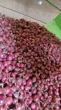 Sprzedam cebulę czerwoną kal 5+, certyfikaty, na worek ok 2500 t i obieranie 1000 t 