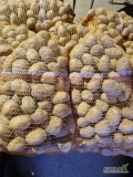 Sprzedam ziemniaki Queen Anne, Belmonda, Lilly , z przechowalni pakowane po 15 kg. Możliwość transportu do 1, 5tony. 9 zł za worek 15...