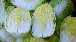 Kapusta pekińska - jakie ceny na rynkach hurtowych?