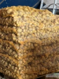 Sprzedam ziemniaki Soraya kal. +45 Ładny jasny towar worek szyty 15kg na paletach duże ilości 