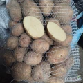 Sprzedam pyszne ziemniaki odmiany irga. Miąższ w środku biały, skorka lekko różowa. Pakowane w worki 15kg. Możliwość negocjacji...