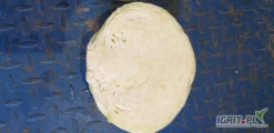 Sprzedam białą kapustę do przetwórstwa. duże ilości. opakowanie i cena do uzgodnienia. zapraszamy do współpracy. +48734469822...