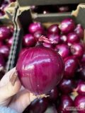 Sprzedam cebulę czerwoną obraną, kaliber 60 - 80, jakość marketowa.