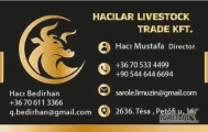 Hacilar Livestock Trade Kft – Dostawca bydła