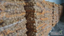 Ziemniaki Gala 40-80 lub 45-80 worek szyty na palecie pakujemy 4kg ,5kg,10kg,15kg towar czysty z jasnej ziemi po szczotkach.Możliwe FITO...