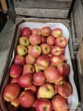 Sprzedam jabłka: Lobo, Szampion, Prince, Jonagored, Boskop. Jabłka  w dobrej kondycji. Możliwość naszykowania w skrzynki drewniane lub...