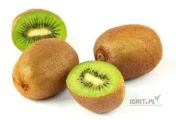 Sprzedam przecier z kiwi,beczka 210 kg, kraj pochodzenia Grecja.