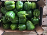 Witam sprzedam paprykę zieloną w pudełkach/workach po 5kg, dostępne 250 kg