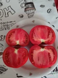 Sprzedam pomidory polne kaliber 5cm - 10cm około 3ton tygodniowo możliwość transportu. Pomidor moze być pakowany po 6 kg lub zgodnie...