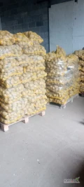Sprzedam ziemniaki jadalne żułte oraz czerwone 10 palet x70 worków 