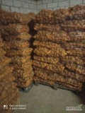 Sprzedam ziemniaki jadalne Ignacy obecnie gotowe 15 palet po 70 worków cena 14 zł worek więcej informacji pod nr tel 604145182