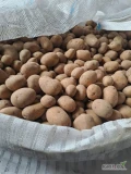 Sprzedam ziemniaki jadalne  Queen Anne, Lili w kalibrze  35 -55.
