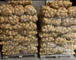 Sprzedam ziemniaki Soraya w kalibrażu 50+ pakowane w worek 15kg na palecie. Ładny i zdrowy towar. 