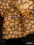 Sprzedam ziemniaki Jurek big bag lub worek 15kg. 