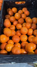 Sprzedam duże ilości mandarynki San Lucar pakowane w czarny karton. Towar słodki, świeży pełen aromatu. 