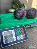 Sprzedam czerwoną Sprzedam kapustę czerwoną. Cena 1,15/kg plus opakowanie do negocjacji. Ilości paleta.