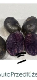 Sprzedam ziemniaki fioletowe truflowe provita.