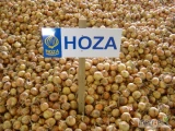 AGRI-M Bezpośrednia sprzedaż nasion cebuli  Hoza Zaden  Odmiany:Hoza,Donna,Saskia,Romy(czerwona),Mika,Rolein(czerwona)  precyzja!!!...