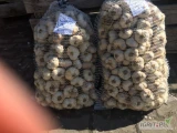 Sprzedam czosnek wiosenny w penczku wszystkie kalibry od 4,5-6,5 cm , Czosnek przeczymywany w chłodni bez nadrostów , w bardzo dobrej...